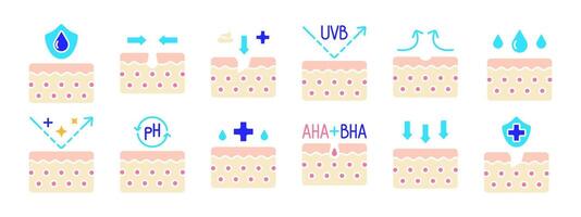 huid reeks icoon. hydratatie schild, afschilfering, uvb bescherming, geruststelling, hydraterend, ph evenwicht, aha bha behandeling, anti-veroudering, diep absorptie, huid bescherming. huid zorg, schoonheid. vector