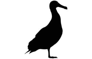 albatros silhouet, albatros silhouet zwart illustratie vector