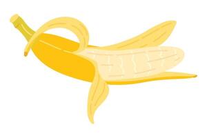 tekenfilm banaan icoon. hand- getrokken rijp geschild banaan, modieus vlak stijl geel fruit. tropisch fruit, banaan tussendoortje of vegetarisch voeding. geïsoleerd Aan wit illustratie vector