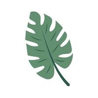 tropisch monstera blad. exotisch zomer botanisch icoon. illustratie geïsoleerd Aan wit achtergrond. vector