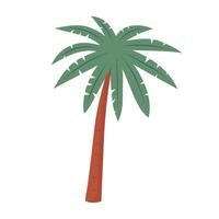 palm boom. tropisch fabriek. illustratie geïsoleerd Aan wit achtergrond. vector