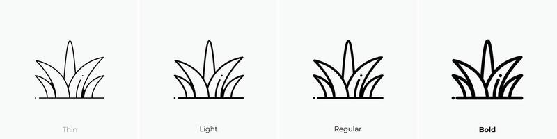 gras icoon. dun, licht, regelmatig en stoutmoedig stijl ontwerp geïsoleerd Aan wit achtergrond vector