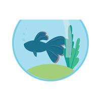 aquarium algen vis icoon tekenfilm van aquarium algen vis vector