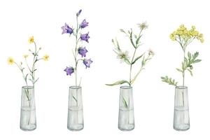 waterverf botanisch illustratie Aan isoleren wit achtergrond. clip art van weide en Woud bloemen in een glas vaas. geel veld- bloemen - gemeenschappelijk boerenwormkruid en boterbloem. klokje en stellaria vector