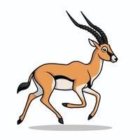 gazelle tekenfilm dier ontwerp vlak illustratie Aan wit achtergrond kant visie antilope vector