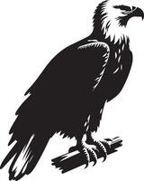 zwart en wit adelaar illustratie vector