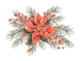 kerstster met Spar takken en Kerstmis rood bessen. waterverf Kerstmis samenstelling in wijnoogst stijl. boeket voor Kerstmis en nieuw jaar vakantie, uitnodigingen, kaarten, decoraties, verpakking vector