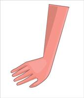 arm, been, tong, mond, neus, hand, menselijk lichaam onderdelen illustratie vector