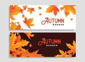 reeks van twee herfst bladeren seizoensgebonden banners ontwerp vector