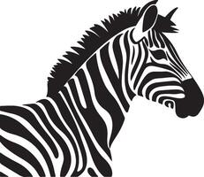 zebra silhouet illustratie wit achtergrond vector