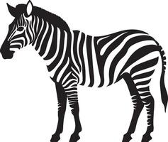 zebra silhouet illustratie wit achtergrond vector