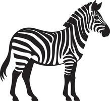 zebra silhouet illustratie wit achtergrond vector