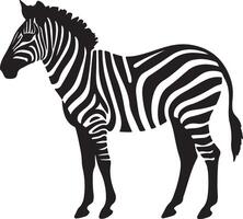 zebra silhouet illustratie wit achtergrond vector