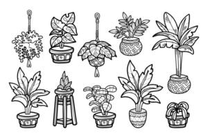 zwart en wit kamerplanten reeks Aan achtergrond vector