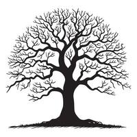 boom van leven met een single romp en symmetrisch takken illustratie in zwart en wit vector