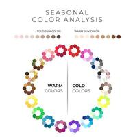 seizoensgebonden kleur analyse palet wiel met verkoudheid en warm kleuren en huid tinten Aan wit achtergrond vector
