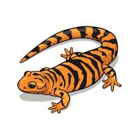 salamander dier. beeld wit achtergrond vector