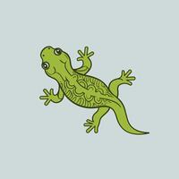 salamander dier. beeld wit achtergrond vector