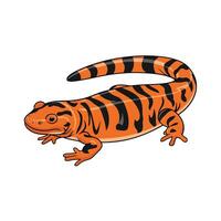 salamander dier. beeld wit achtergrond vector