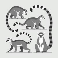 verzameling van schattig grappig exotisch maki's geïsoleerd Aan wit achtergrond. reeks van aanbiddelijk tropisch dieren of primaten. vlak tekenfilm kleurrijk illustratie vector