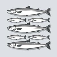 ansjovis vis. illustratie tekenfilm vlak icoon geïsoleerd Aan wit achtergrond. vector