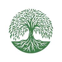 wortel boom logo. wortel van de boom logo symbool illustratie ontwerp, eik boom wijnoogst logo ontwerp vector