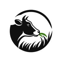 koe logo ontwerp inspiratie. stier en buffel koe dier logo ontwerp vector