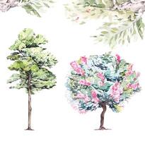 boom met roze bloemen.struiken voor landschap ontwerp voor decoreren kaarten.hand getrokken boom waterverf vector