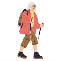 oud actief vrouw op reis met rugzakken Aan vakantie. gelukkig ouderen vrouw wandelen met nordic wandelen stokken, hiking. gekleurde vlak illustratie van reiziger geïsoleerd Aan wit achtergrond vector