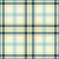 textiel ontwerp van getextureerde plaid. geruit kleding stof patroon swatch voor shirt, jurk, pak, omhulsel papier afdrukken, uitnodiging en geschenk kaart. vector