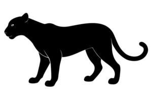 zwart silhouet van panter, Jachtluipaard, tijgerin of leeuwin geïsoleerd Aan een wit achtergrond. wild kat. grafisch illustratie. icoon, pictogram, sjabloon, teken, logo, afdrukken, ontwerp element vector