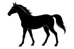 silhouet van een galopperen paard. dier in beweging. paarden schoonheid concept. te paard rijden, natuurlijk elegantie ontwerp. zwart silhouet geïsoleerd Aan wit achtergrond. vector