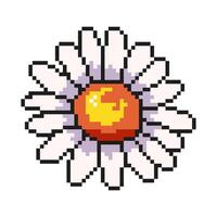 de madeliefje bloem icoon in pixel kunst. de stijl van een digitaal wijnoogst spel van de 80s en jaren 90. voor Sjablonen, ontwerp, en mobiel spellen. vector