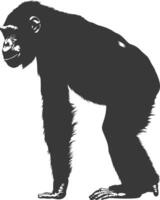 silhouet chimpansee dier zwart kleur enkel en alleen vector