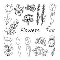 set van bloemen ontwerpelementen. rozen, tulpen, lavendel, distel, vergeet me nietjes vector