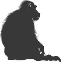 silhouet mandril dier zwart kleur enkel en alleen vector