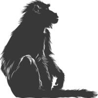 silhouet mandril dier zwart kleur enkel en alleen vector