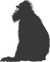 silhouet mandril dier zwart kleur enkel en alleen vector