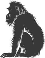 silhouet mandril dier zwart kleur enkel en alleen vector