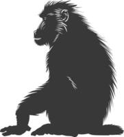 silhouet mandril dier zwart kleur enkel en alleen vector