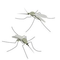 klein mug insect. illustratie in vlak, gemakkelijk, tekenfilm stijl vector