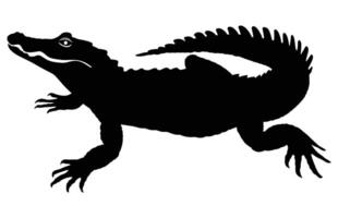 alligator zwart silhouet Aan wit achtergrond, krokodil illustratie. wild dieren. reptiel. vector