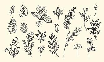 plant- en bloemsamenstelling voor decoratieframe, eenvoudige handgetekende bladeren lineart illustratie, bloemen vectorelementen voor romantisch en vintage design vector