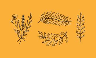 set van bloem en bladeren illustratie voor bloemen kit vectorafbeelding. creatief element voor ontwerp, tatoeage, sticker, enz. minimalistische handgetekende illustratie voor natuurlijk uiterlijk. vector