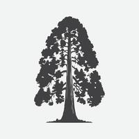 afdrukken majestueus silhouet van de sequoia boom, een tijdloos icoon van van de natuur grootsheid vector