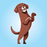 chesapeake baai retriever hond staat Aan achter poten illustratie vector