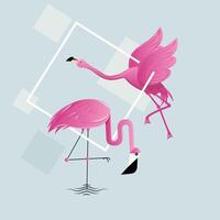 roze flamingo vogel illustratie ontwerp vector