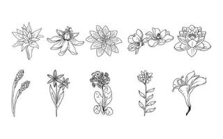 set handgetekende bloemenelementen voor uw ontwerp, blad en bloemenillustratie om romantisch of vintage design te creëren, plant geïsoleerde afbeelding zeer eenvoudig toe te voegen aan uw ontwerpproject vector
