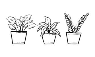 kamerplant hand getekende illustratie. vector lijntekeningen van de ingemaakte huis plant collectie set. bloemen plant geïsoleerd op een witte achtergrond.