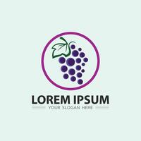 fruit icoon en fruit logo ontwerp vers fruit tropisch natuur voedsel illustratie vector